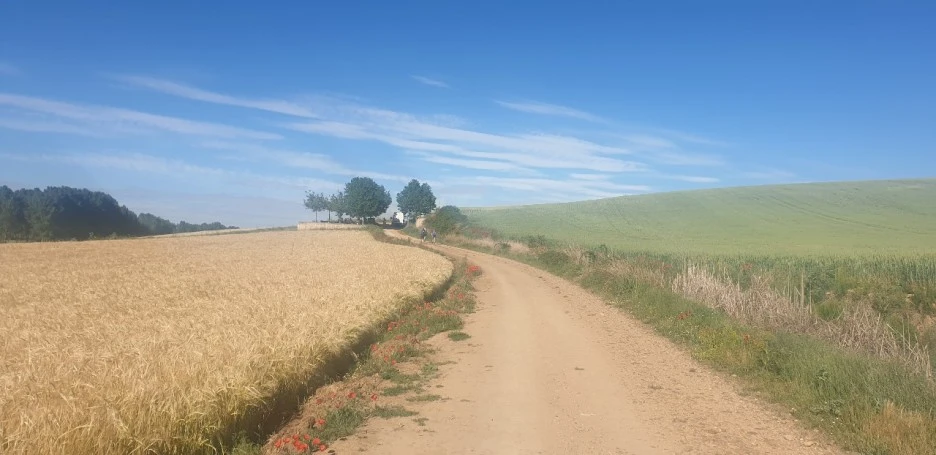 KakaoTalk_20220601_001906912_01.jpg?type=w1