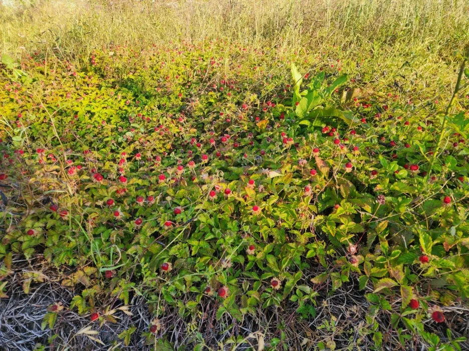 KakaoTalk_20240529_170254177_13.jpg?type=w1