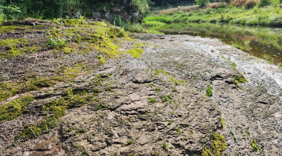 KakaoTalk_20240623_164104547_08.jpg?type=w1