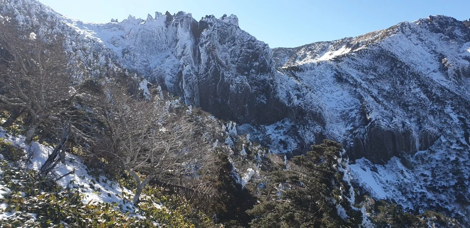 20211210_122139.jpg?type=w1