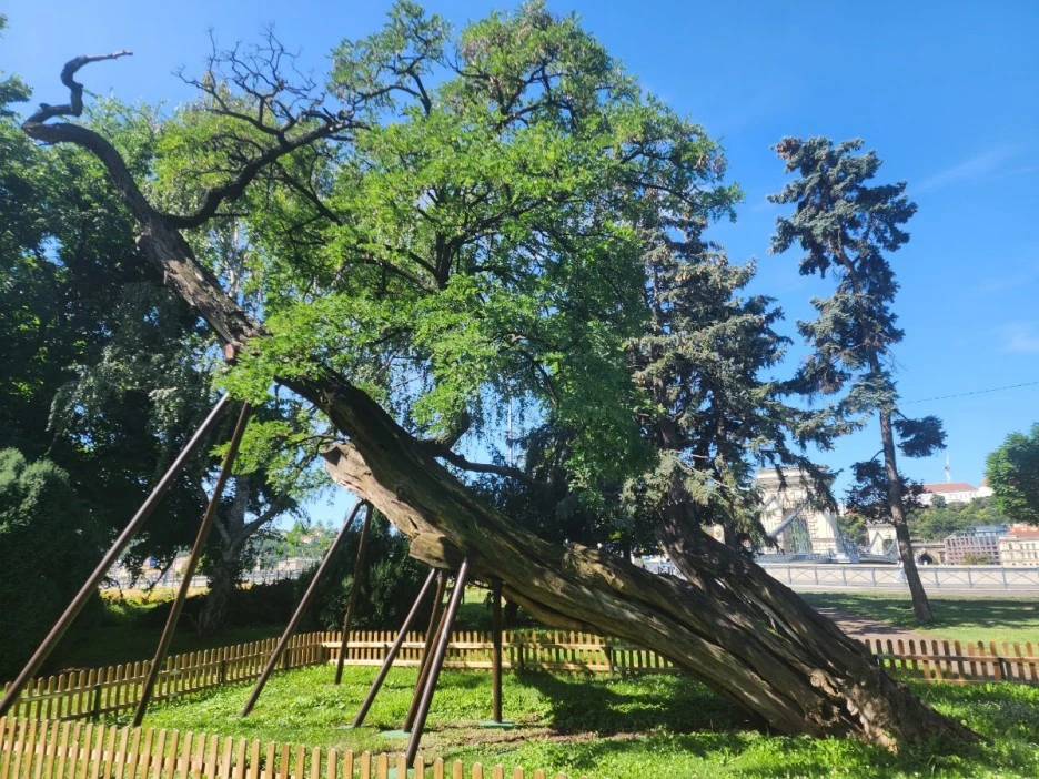 KakaoTalk_20230802_141251335_05.jpg?type=w1