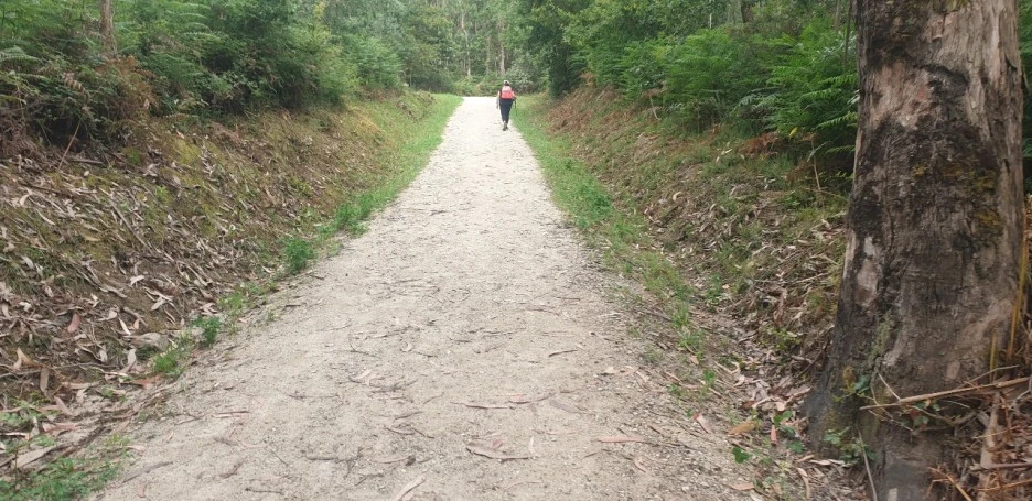 KakaoTalk_20220618_000850286_03.jpg?type=w1