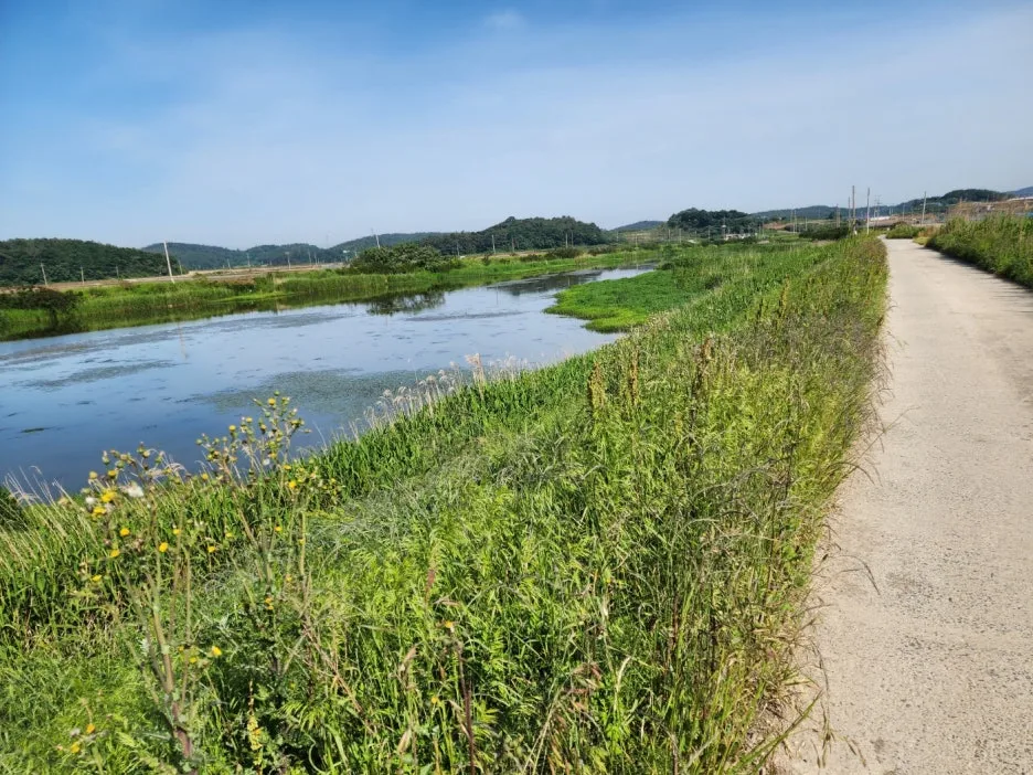 KakaoTalk_20240520_150332918_17.jpg?type=w1