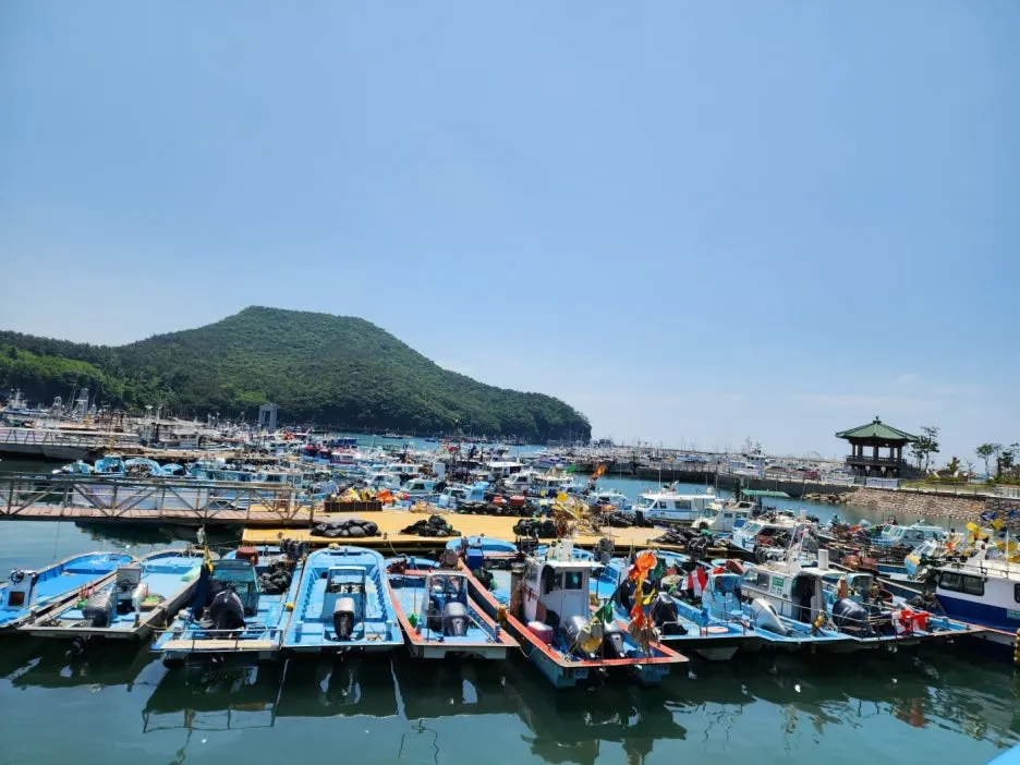 KakaoTalk_20240604_174216039_29.jpg?type=w1