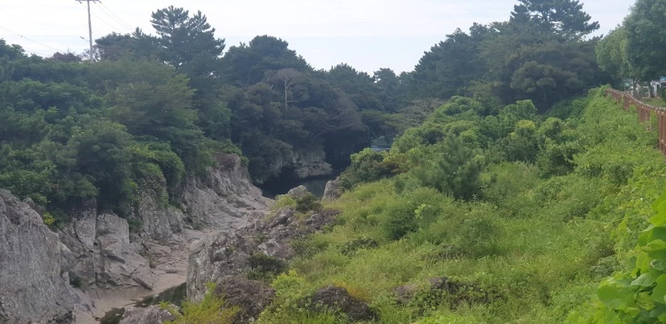 KakaoTalk_20220830_013603826_01.jpg?type=w1