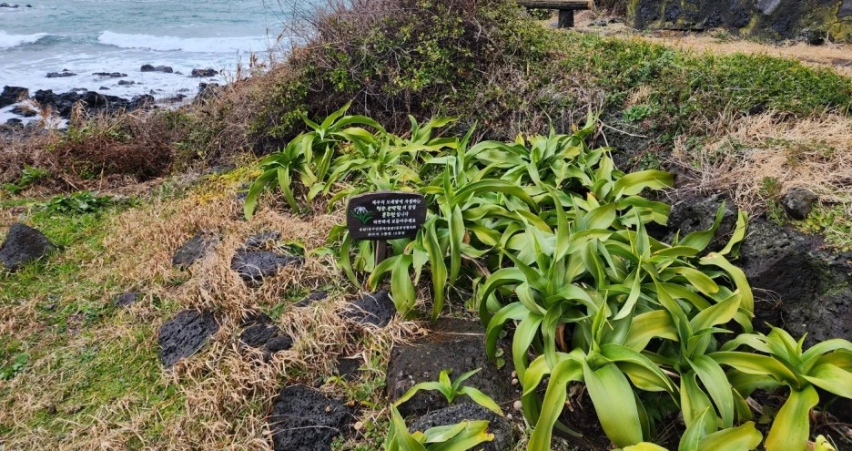 SE-31a4293a-f9ea-4498-9c07-c2298f09e007.jpg?type=w1