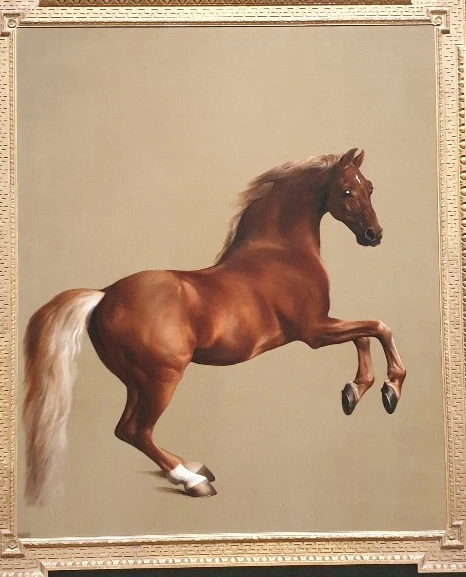 SE-d6cd2aac-380e-445f-b7be-919e5ff6e18c.jpg?type=w1