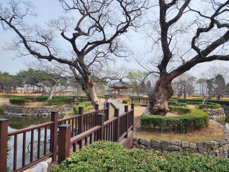 KakaoTalk_20230312_033555235_14.jpg?type=w1