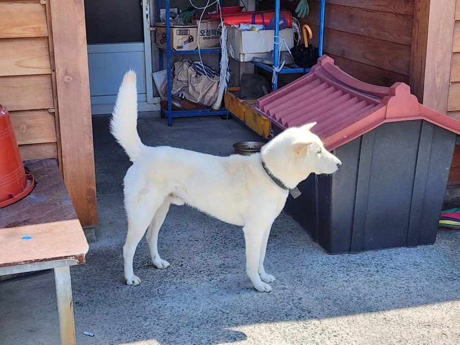 KakaoTalk_20240515_001430344_12.jpg?type=w1