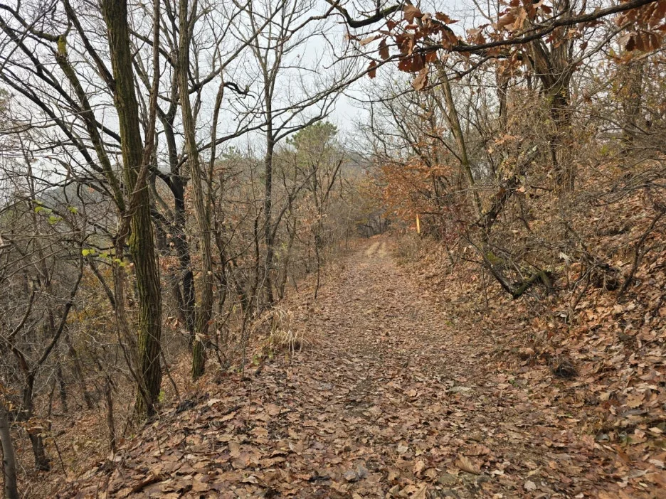 KakaoTalk_20241203_014924310_13.jpg?type=w1