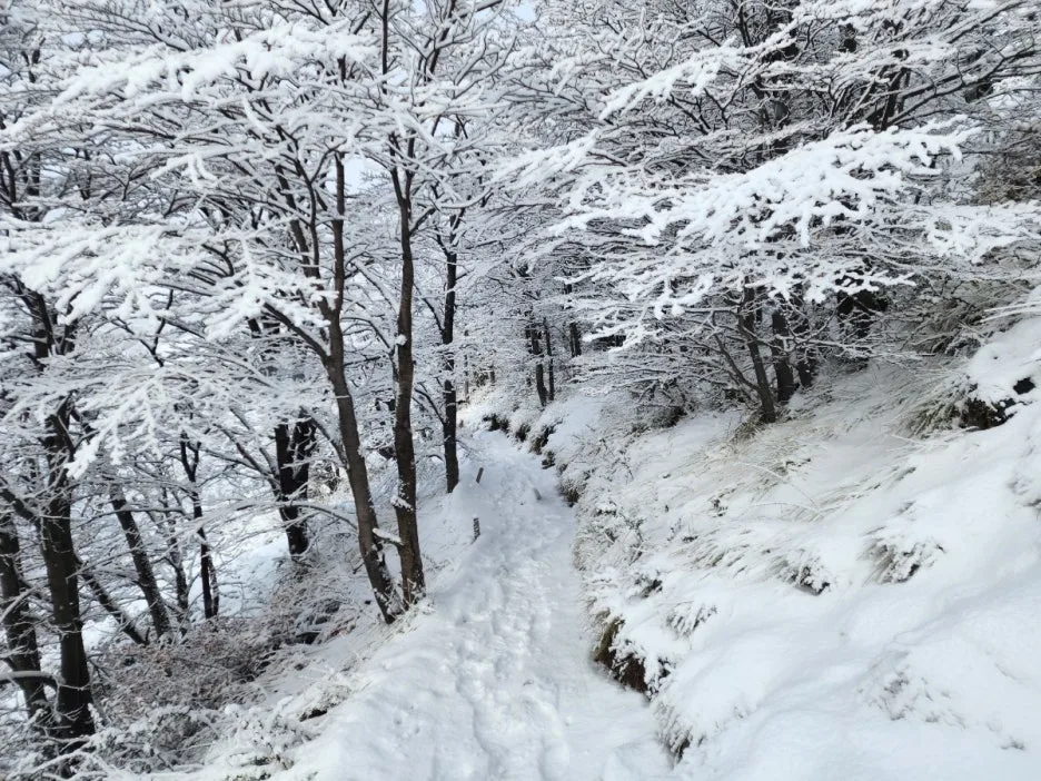 KakaoTalk_20240806_083145095_08.jpg?type=w1