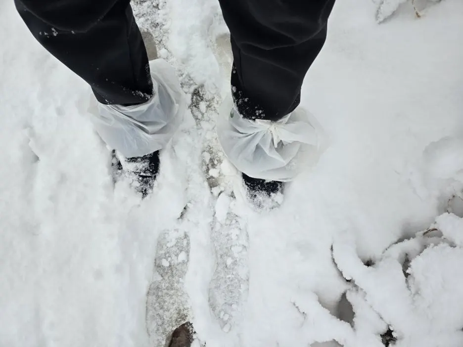 KakaoTalk_20241129_052005278.jpg?type=w1