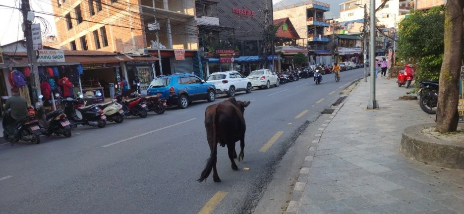 SE-86337d52-512b-4ea7-83bc-55a3f4eeea3f.jpg?type=w1