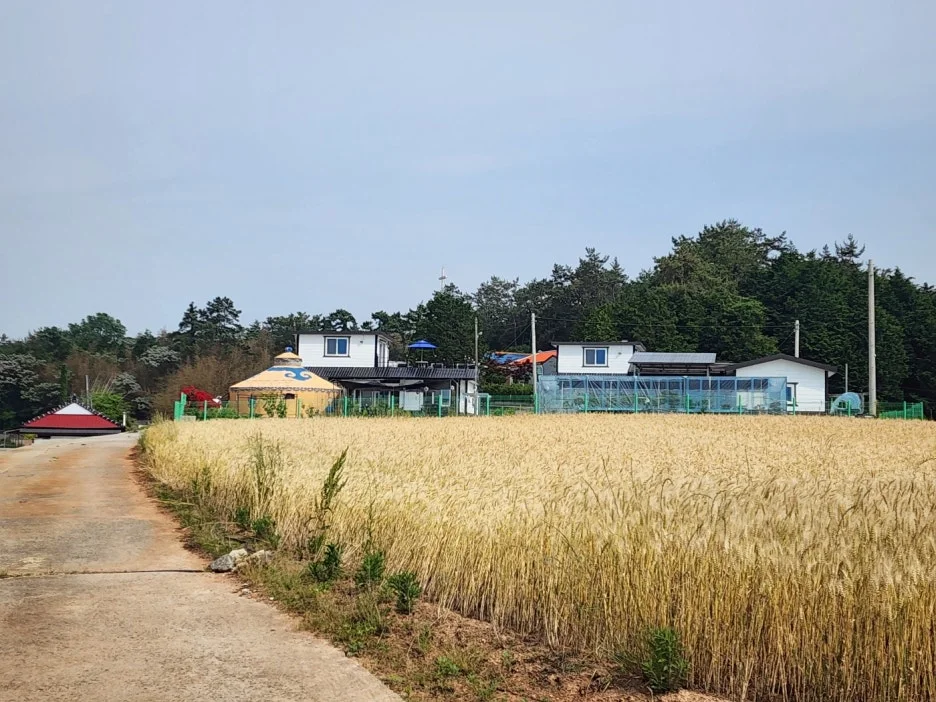 KakaoTalk_20240522_154457657_20.jpg?type=w1