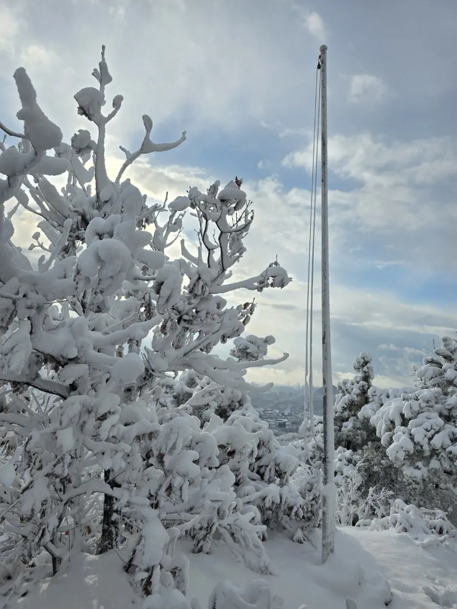 KakaoTalk_20241129_050938052_13.jpg?type=w1