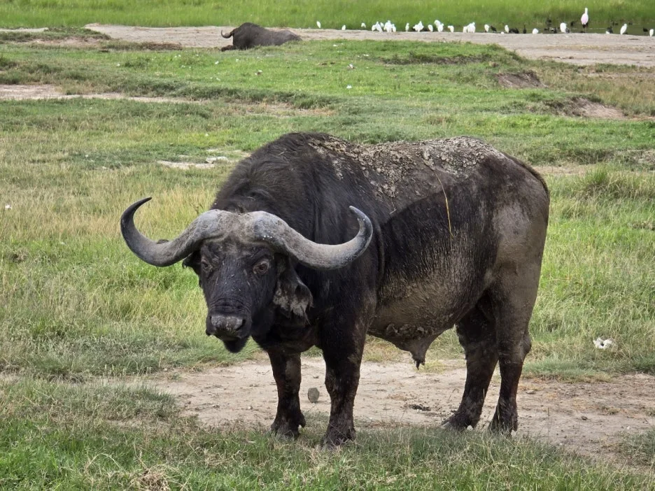 KakaoTalk_20250405_153815245_04.jpg?type=w1