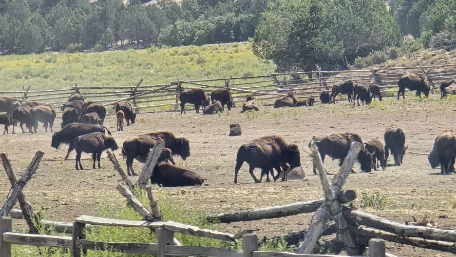 KakaoTalk_20250818_065906819_13.jpg?type=w1