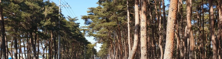 SE-db101d50-7a10-4b47-a8ab-43e85d57c686.jpg?type=w1