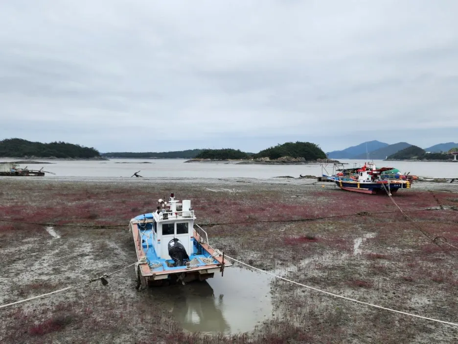 KakaoTalk_20240526_220649914_10.jpg?type=w1