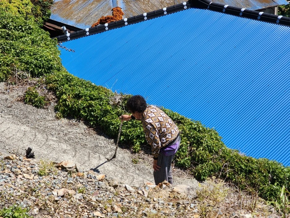 KakaoTalk_20240513_210116338_16.jpg?type=w1