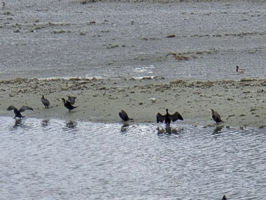 KakaoTalk_20241128_094028134_10.jpg?type=w1