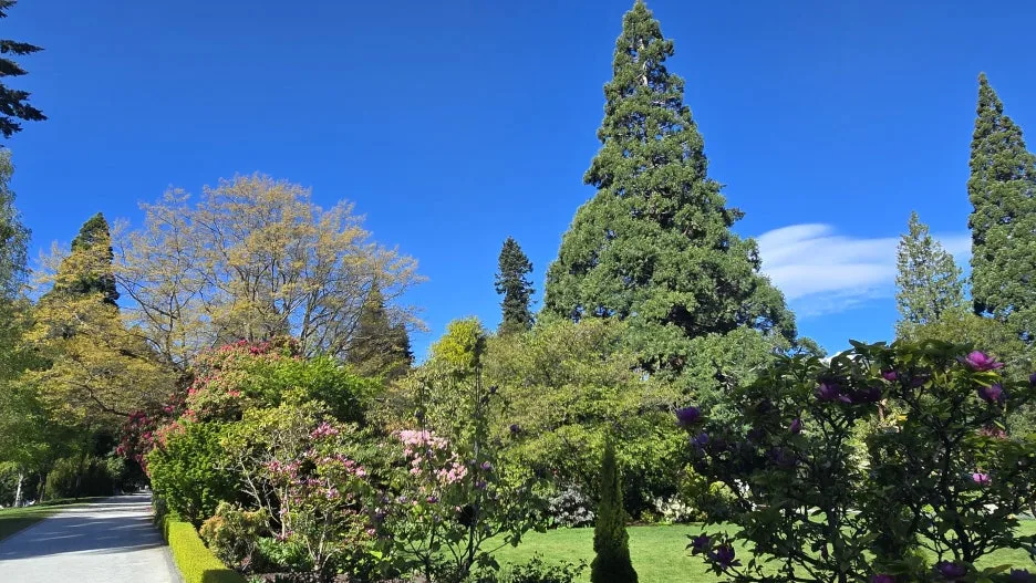 KakaoTalk_20251102_131216551_15.jpg?type=w1