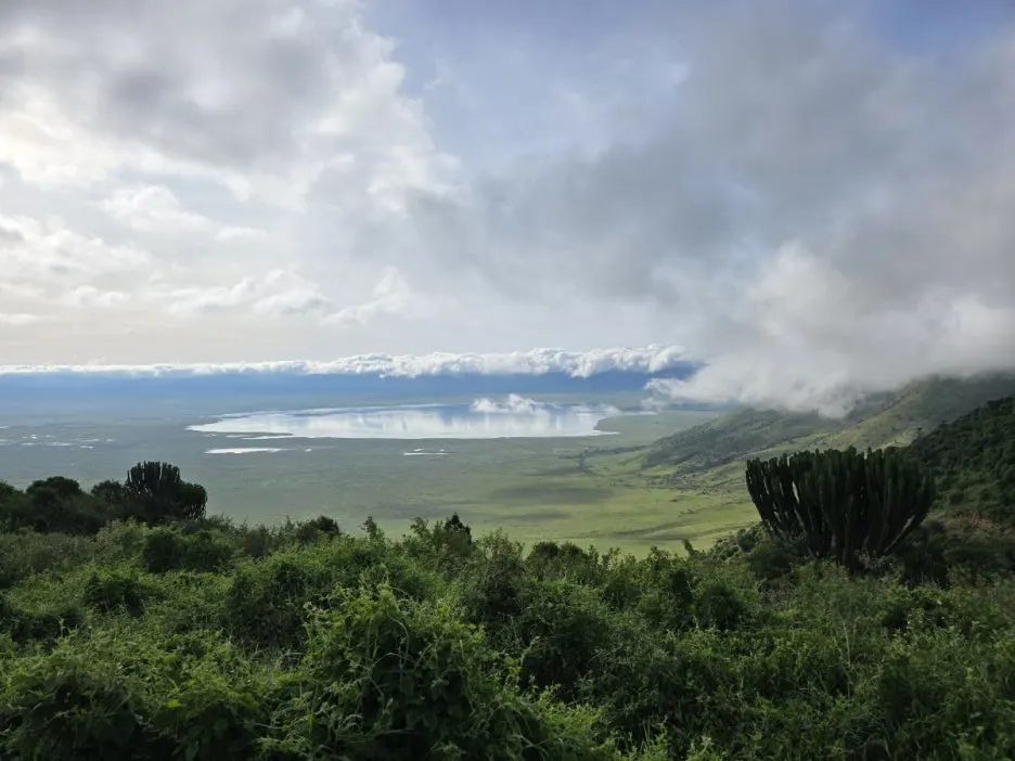 KakaoTalk_20250405_153555823_03.jpg?type=w1