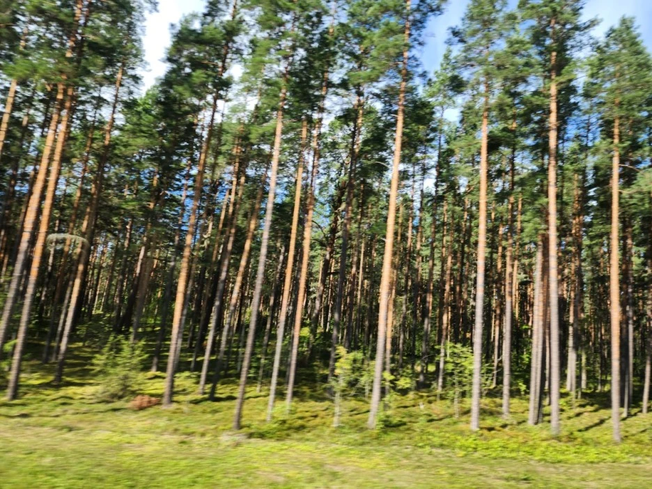 KakaoTalk_20230815_171536771.jpg?type=w1