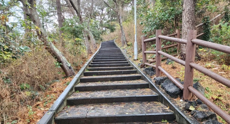 SE-5fd51d76-3a2f-4fb0-8214-821e17035866.jpg?type=w1