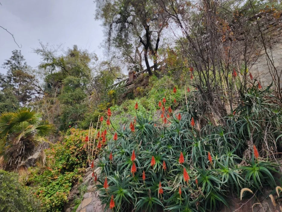 KakaoTalk_20240726_173435283_22.jpg?type=w1