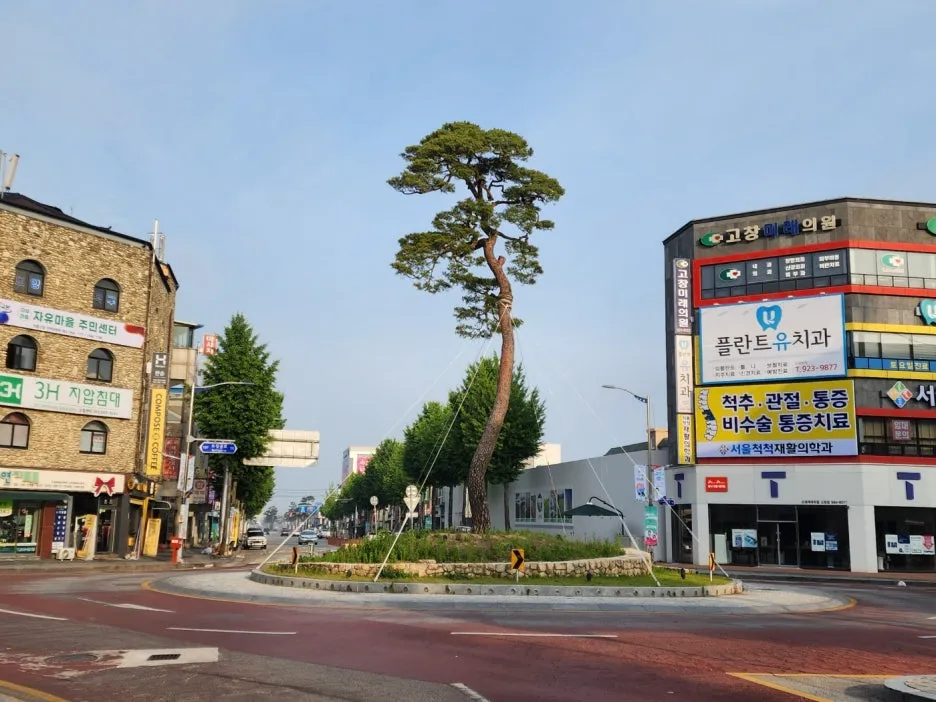 KakaoTalk_20240602_164520524.jpg?type=w1