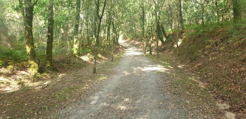 KakaoTalk_20220618_000850286_01.jpg?type=w1