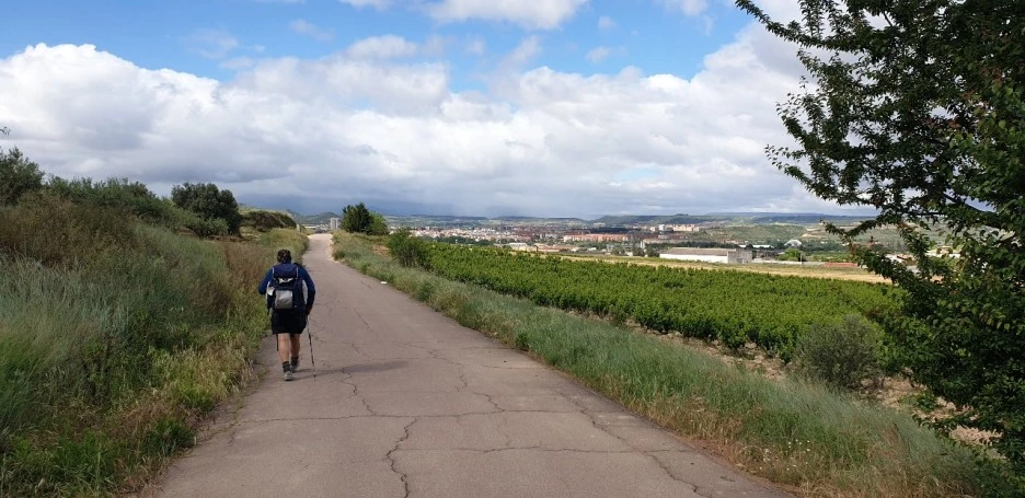 1653551496660.jpg?type=w1