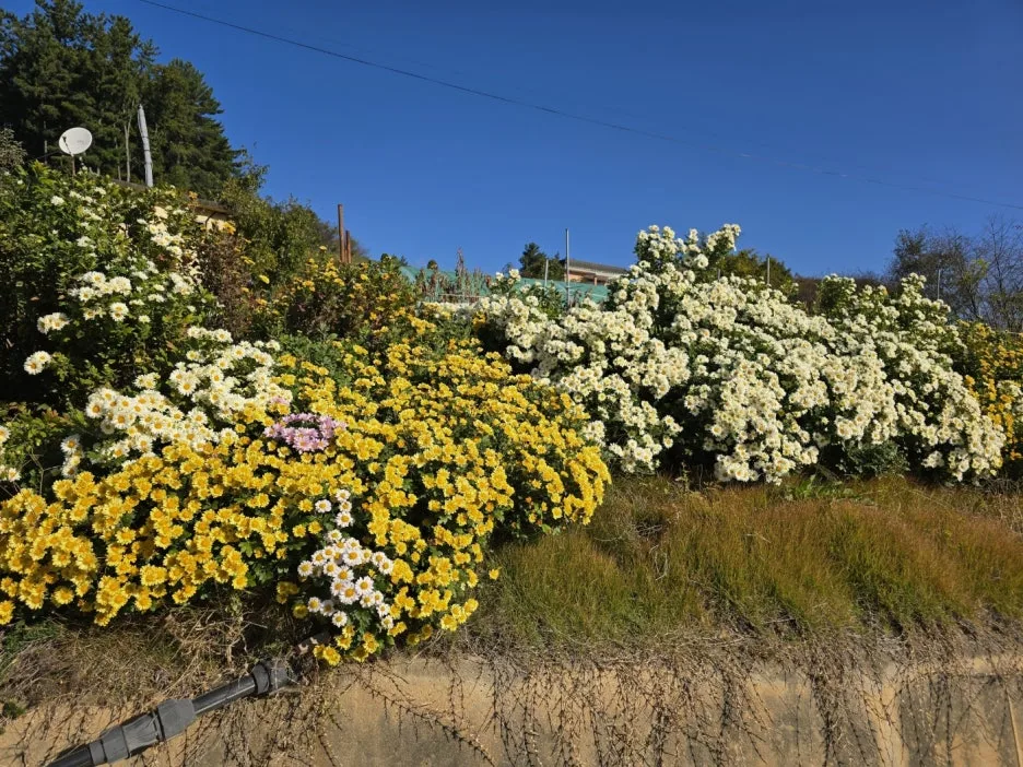 KakaoTalk_20241108_062645057_17.jpg?type=w1