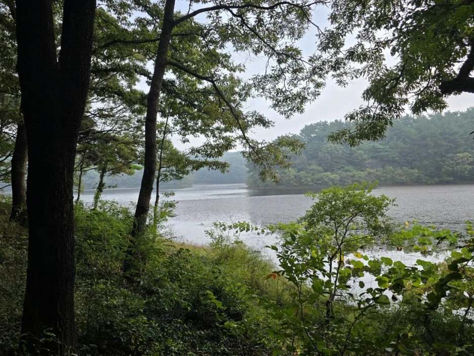 KakaoTalk_20241023_023745528_08.jpg?type=w1