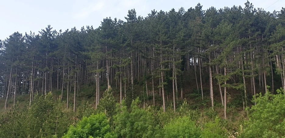 KakaoTalk_20220521_224440398_03.jpg?type=w1