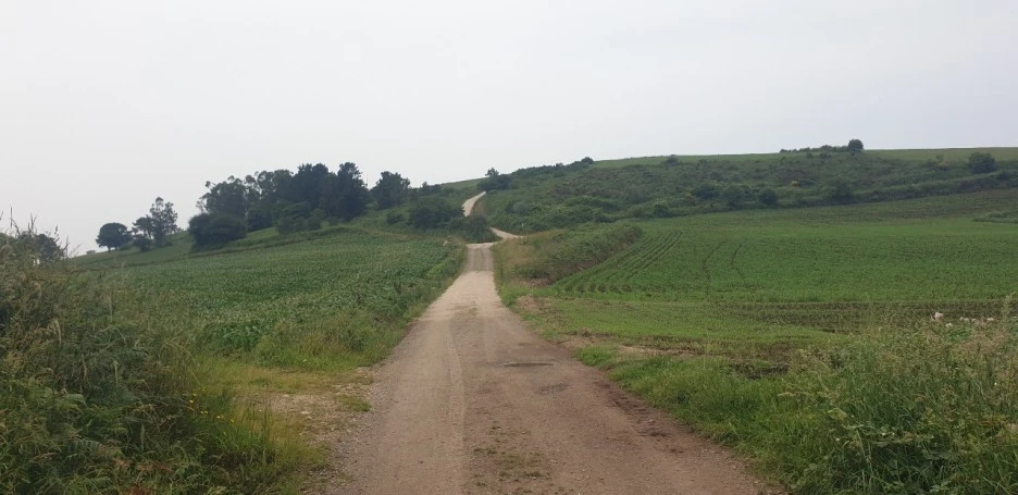 KakaoTalk_20220621_021007134_07.jpg?type=w1