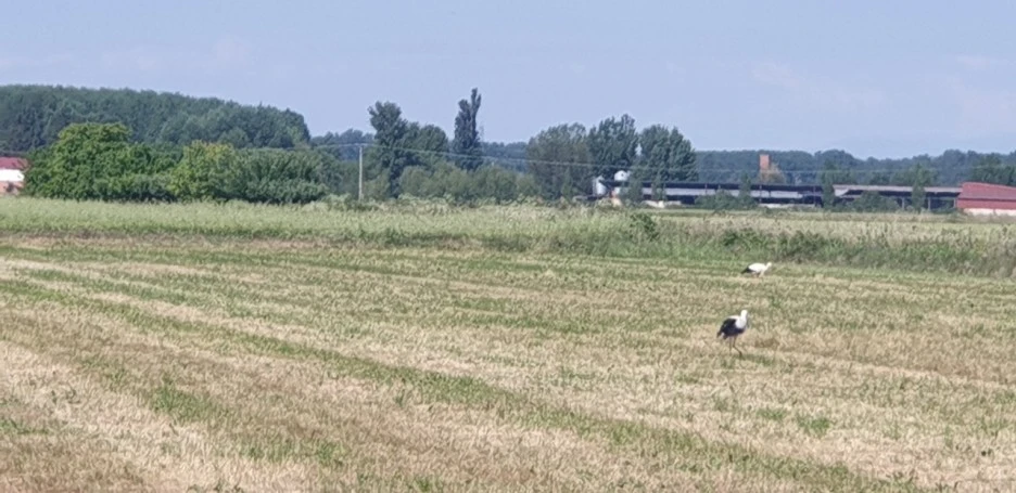 KakaoTalk_20220605_012004343_07.jpg?type=w1