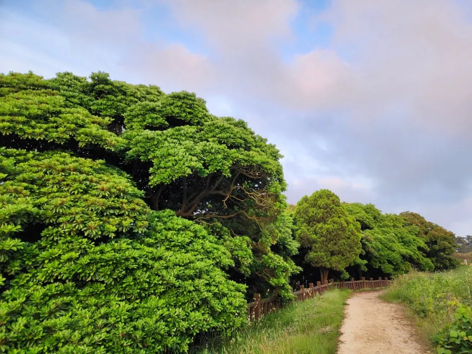 KakaoTalk_20240605_161917270_05.jpg?type=w1