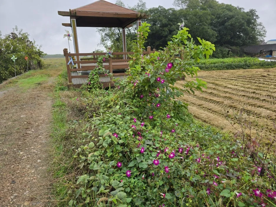 KakaoTalk_20241017_044845874_08.jpg?type=w1