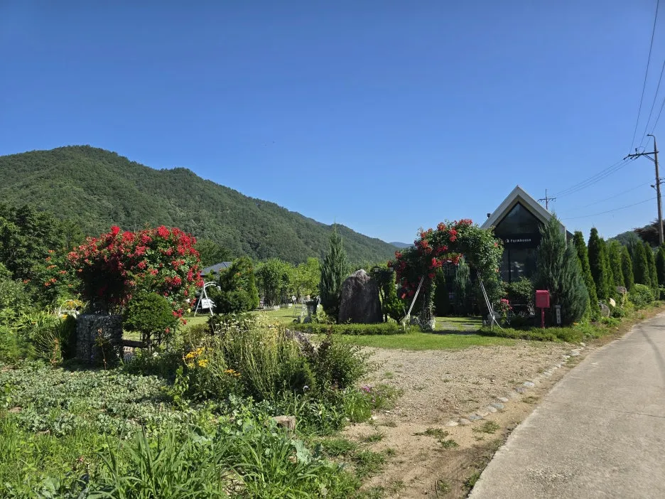 KakaoTalk_20250623_164743987_19.jpg?type=w1