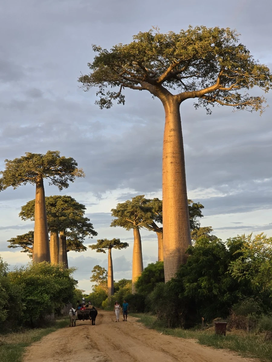 KakaoTalk_20250313_021335192_17.jpg?type=w1