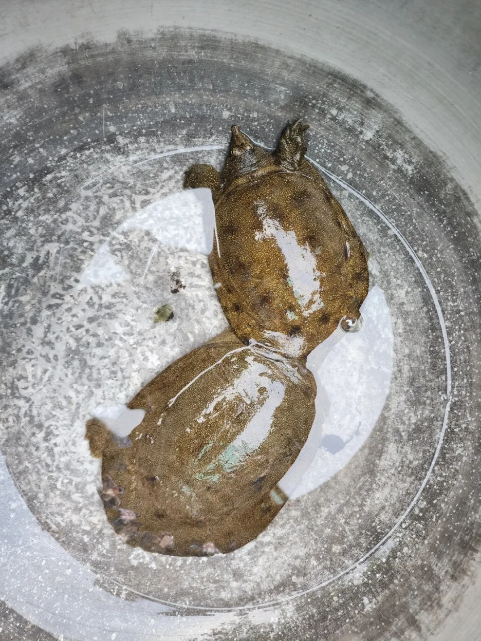 KakaoTalk_20240612_094443269.jpg?type=w1