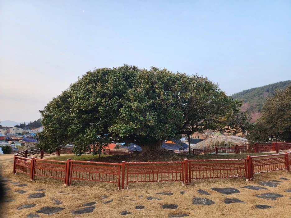 KakaoTalk_20230215_043158214.jpg?type=w1