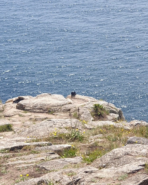 SE-0275aec1-ebaf-4092-b787-354b88968f97.jpg?type=w1