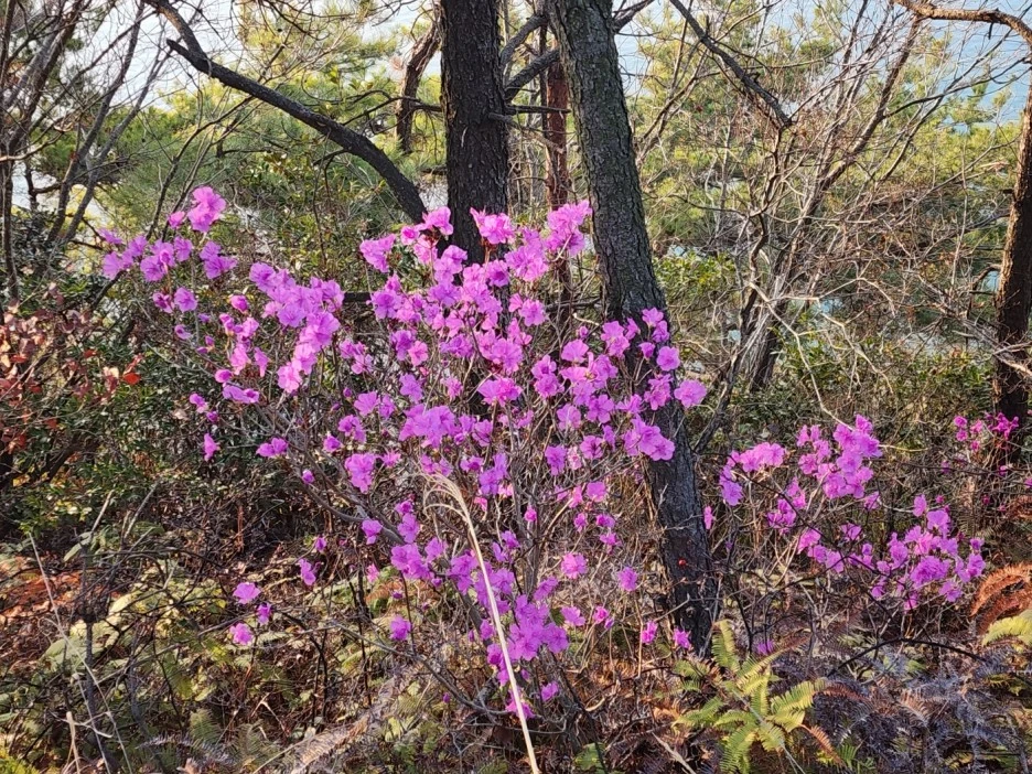 KakaoTalk_20230321_044106683_03.jpg?type=w1