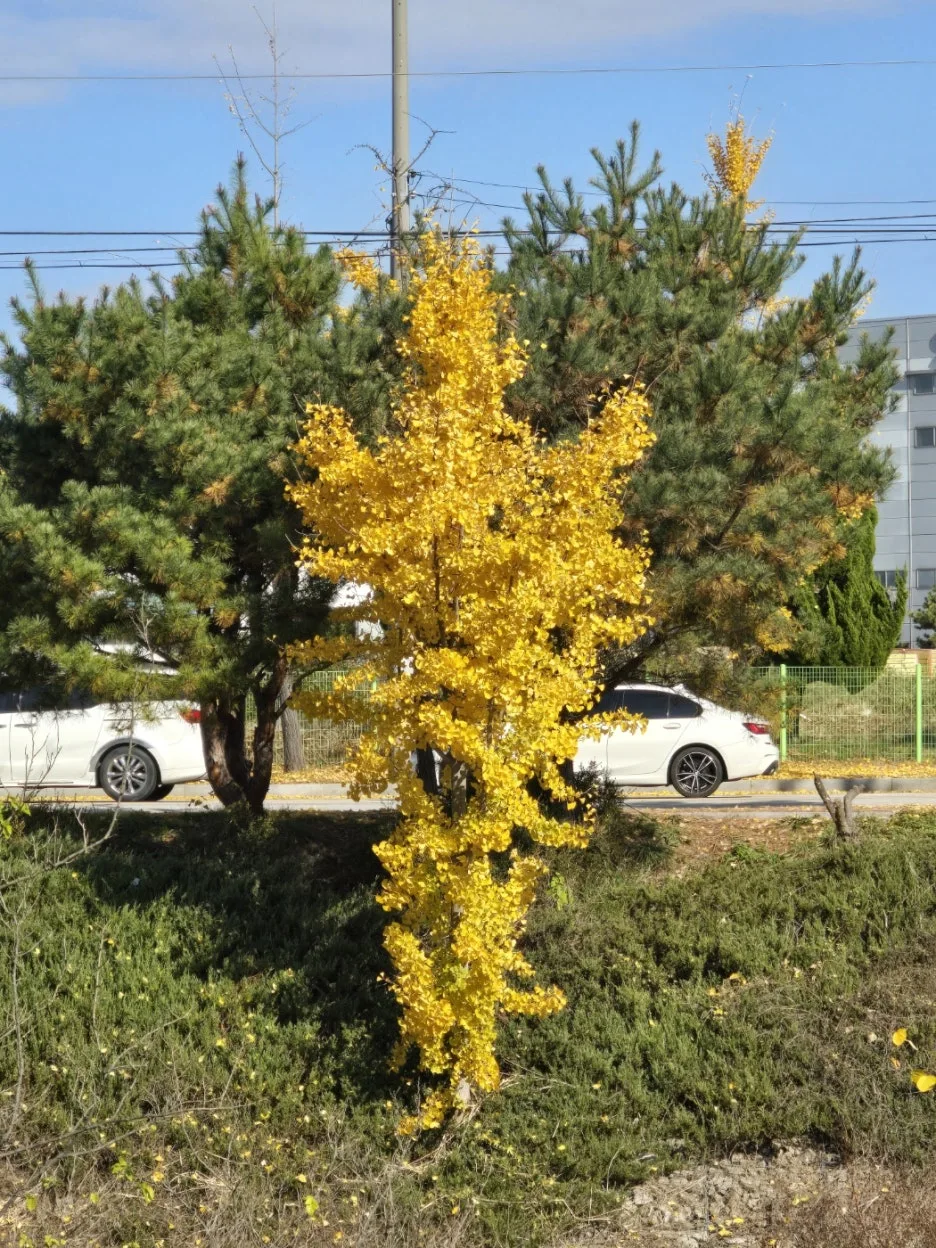 KakaoTalk_20241117_054454078_02.jpg?type=w1