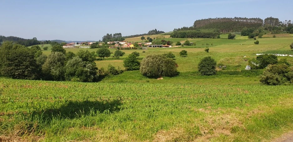 KakaoTalk_20220614_013644696_07.jpg?type=w1