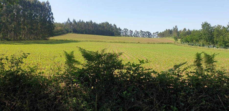 KakaoTalk_20220614_013644696_09.jpg?type=w1