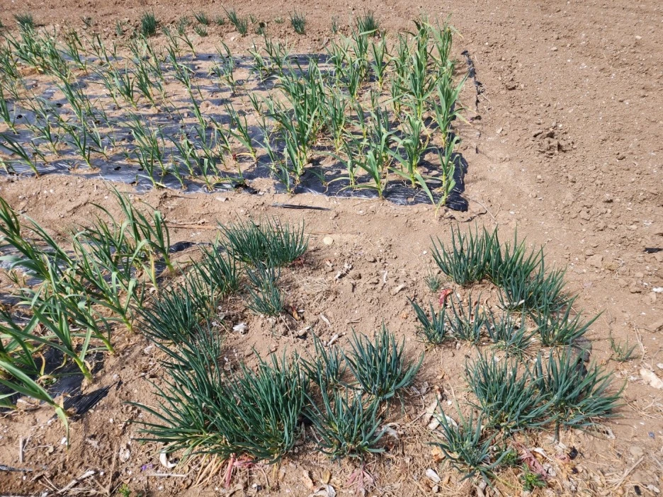 KakaoTalk_20230321_044106683_18.jpg?type=w1